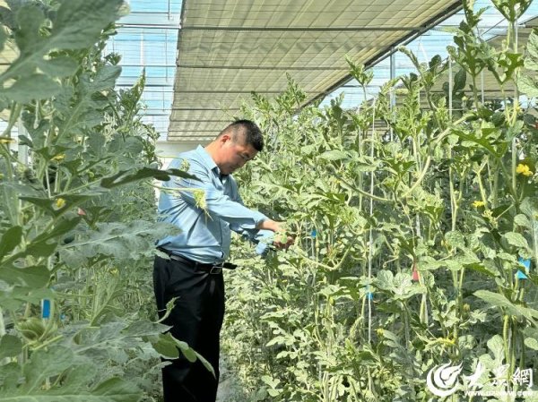 大智慧配资 聊城耕耘者 | 王天兵：乡村振兴领路人和他的“甜蜜事业”
