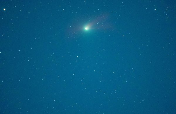 星火牛 守护“萌宠”度夏暖心又贴心